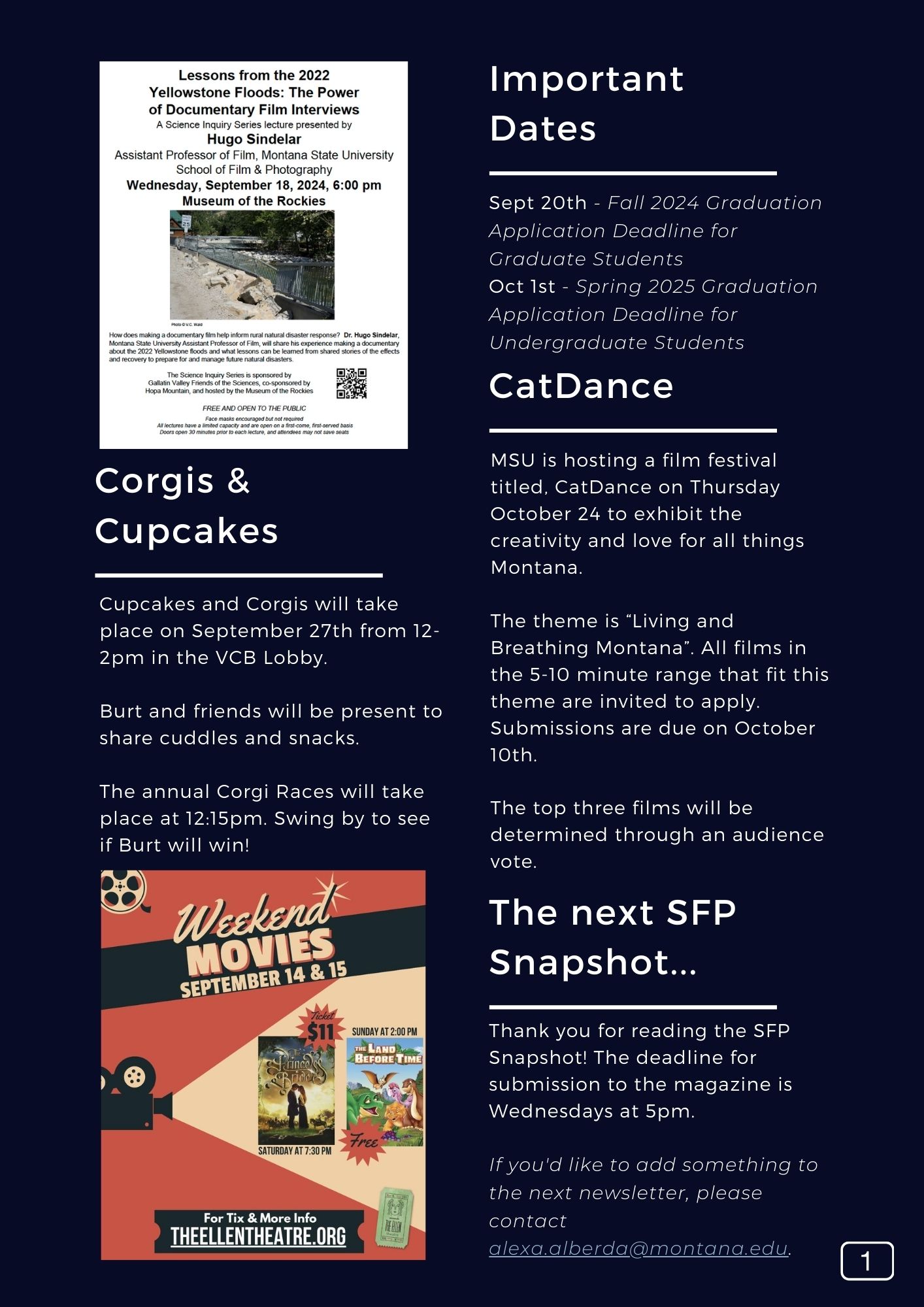 The SFP Snapshot V128 Page 2