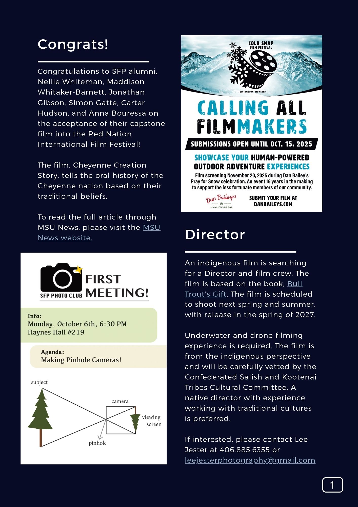 The SFP Snapshot v163 Page 2